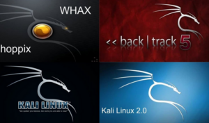 Backtrack Virtual Machine to Kali Linux